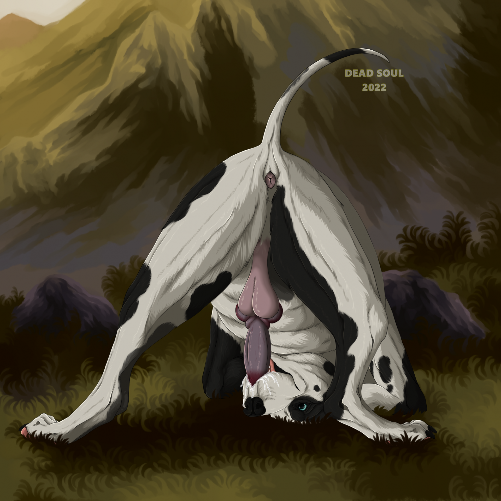 hi res, animal genitalia, animal penis, anus, ass up, autofellatio, backsack, balls, black body, black fur, blue eyes, canid, canine, canine penis, canis, denali dane, domestic dog, erection, feral, fur, genitals, grass, great dane, looking through, looking through legs, male, mammal, mastiff, masturbation, molosser, mountain, msdeadsoul, oral, oral masturbation, outside, penile, penile masturbation, penis, plant, rear view, solo, white body, white fur, 