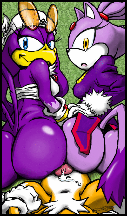 blaze the cat, tails, wave the swallow, sega, sonic (series), sonic riders, after sex, amber eyes, anthro, ass, avian, beak, big ass, bird, blue eyes, bottomless, buttjob, canine, cat, clothed, clothes, cum, cum on self, double buttjob, feline, female, fox, group, half-dressed, looking at viewer, looking back, male, mammal, partially clothed, penis, pov, precum, purple feathers, purple fur, straight, swallow, yellow eyes, 