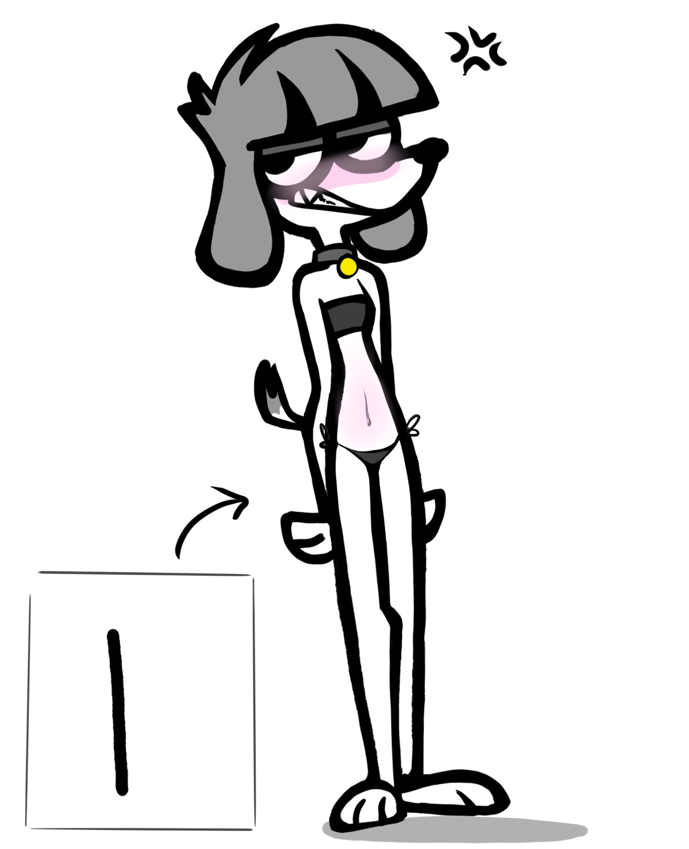 white background, 1girls, anger vein, bikini, black bikini, black bikini bottom, black bikini top, blush, blush lines, canine, collar, collar tag, domestic dog, face blush, female, fifi (somemf), gold collar, grey hair, la tiapat, navel, stomach blush, white body, white skin, 