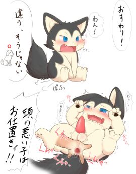 Image: 7546919