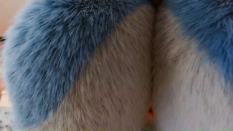 Image: 13151017