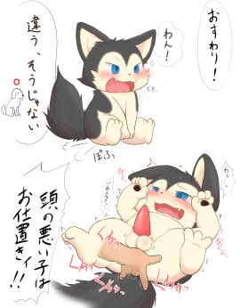 Image: 7546921