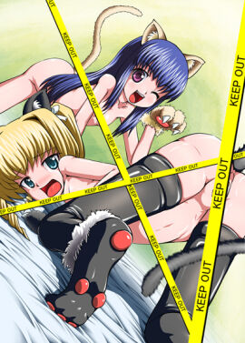 Image: 902001
