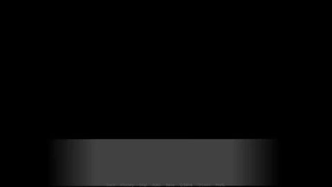 Image: 8511996