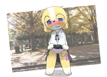 Image: 5334648