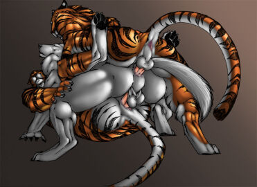 Image: 546187