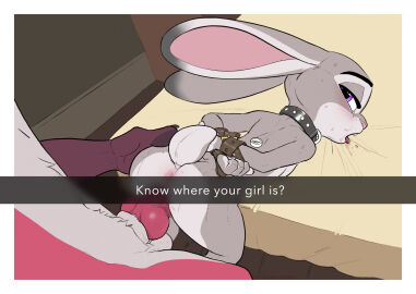 Image: 10080245