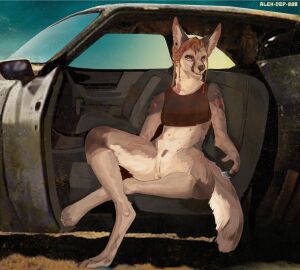 Image: 11274578