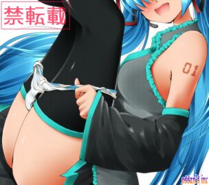 Image: 5591227