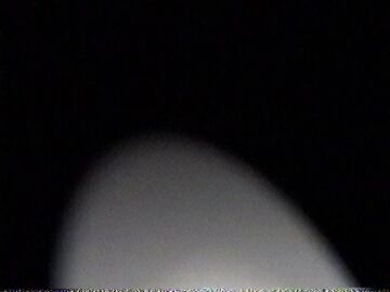Image: 13061217