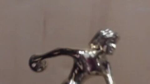 Image: 13050196