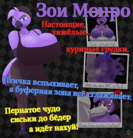 Image: 13049072