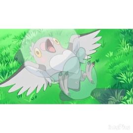 Image: 942881