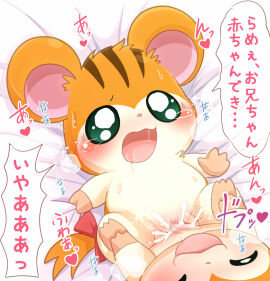 Image: 6295370