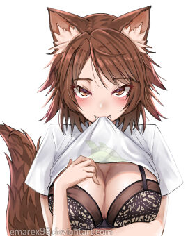 Image: 1904049