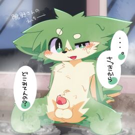 Image: 12866726