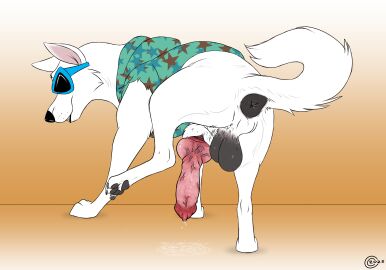 Image: 9649561