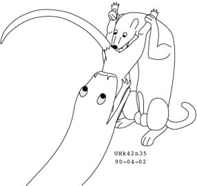 Image: 13012300