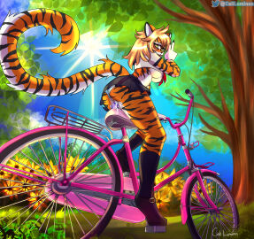 Image: 7225014