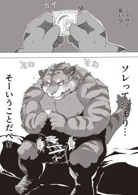 Image: 11170278