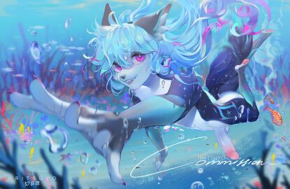 Image: 8010211