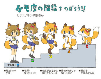 Image: 12147636