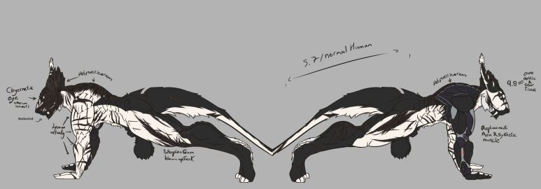 Image: 2803691