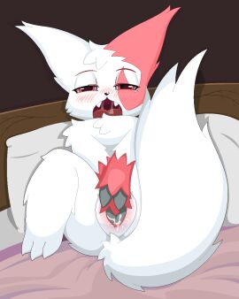 Image: 1631452