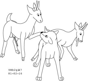Image: 13020157