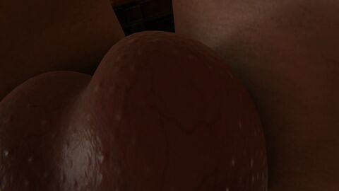 Image: 13104710