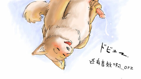 Image: 4115247