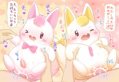 Image: 5236667