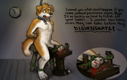 Image: 551972
