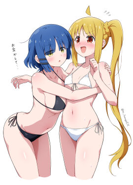 Image: 11309036
