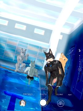 Image: 3674072
