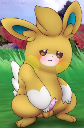 Image: 11332498