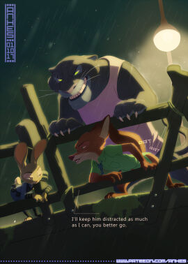 Image: 11204041