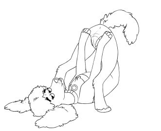 Image: 13088339
