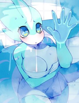 Image: 9107002