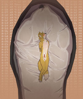 Image: 12824121