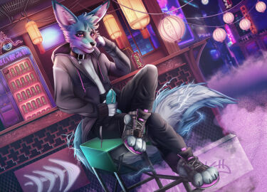Image: 4554636