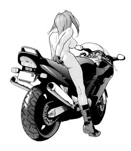 Image: 3501012