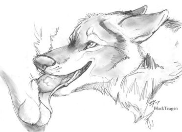 Image: 3022914