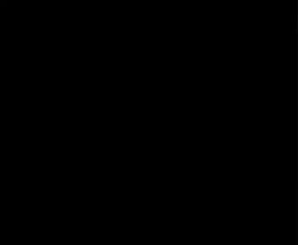 Image: 13069896