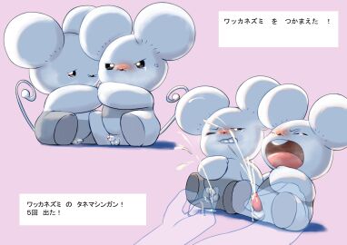Image: 8979984