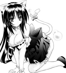 Image: 2944181