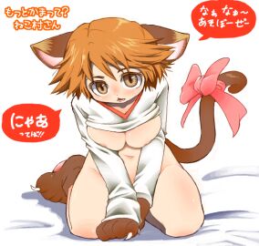 Image: 4714736