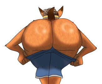 Image: 13010440