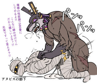 Image: 5216924