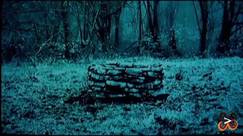 Image: 13110746